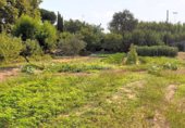 Non-developable land for sale on España, Blanes Residencial, ref: TR116455 photo