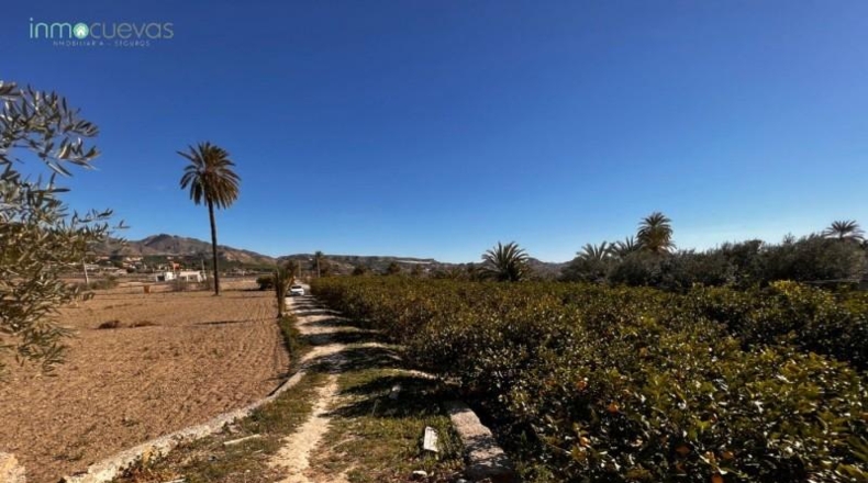 Almería - Cuevas del Almanzora - 6943m2