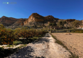 Xalet independent amb terreny en venda a la España, Cuevas del Almanzora, ref.: TR138023 foto
