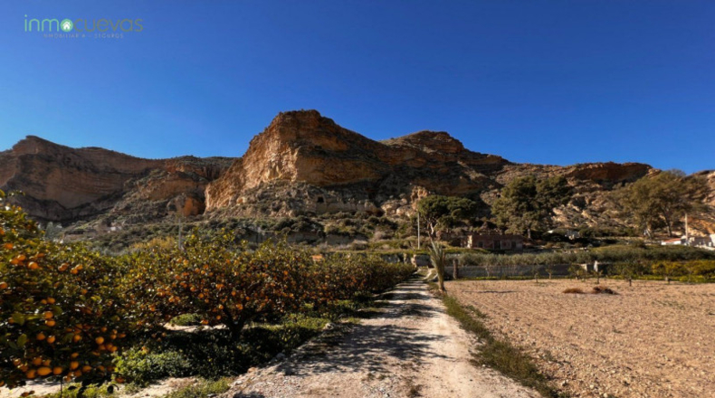 Almería - Cuevas del Almanzora - 6943m2