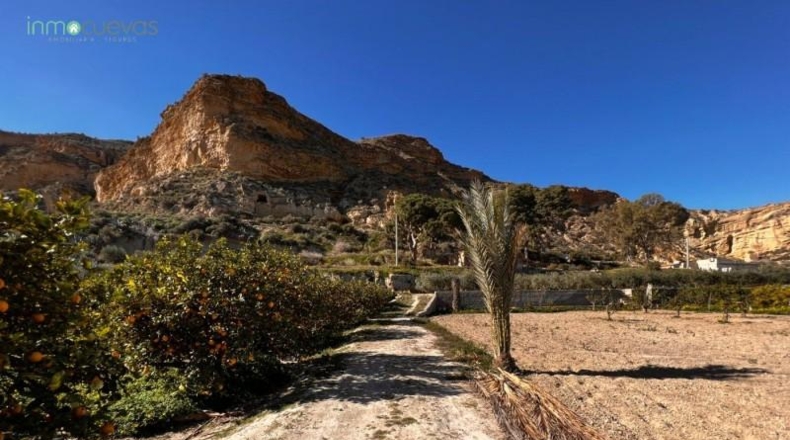 Almería - Cuevas del Almanzora - 6943m2