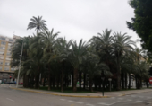 Sòl urbà en venda a la España, Elx, ref.: TR117550 foto