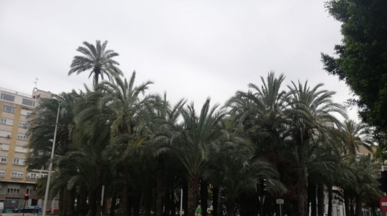 Alicante - Elche - 106m2