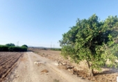 Casa de campo con terreno en venta en la España, Orihuela, ref: TR139935 foto