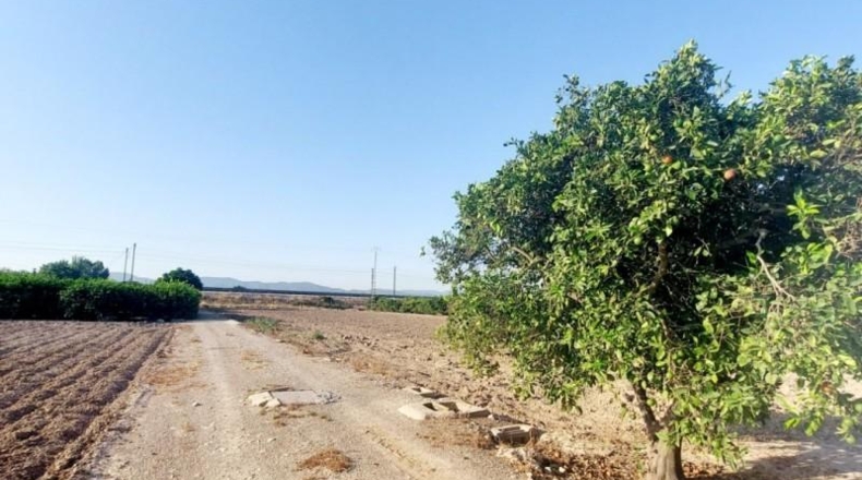 Alicante - Orihuela - 6000m2