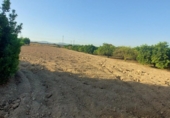 Casa de campo con terreno en venta en la España, Orihuela, ref: TR139935 foto