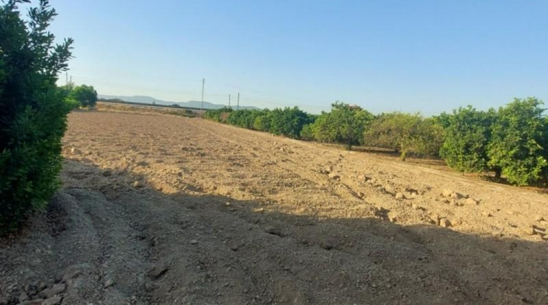 Alicante - Orihuela - 6000m2