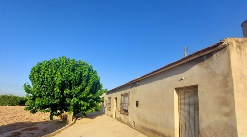 Alicante - Orihuela - 6000m2