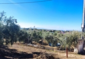 Terreno no urbanizable en venta en la España, Cabra, ref: TR119085 foto