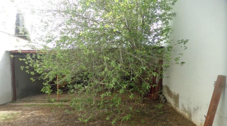 Ciudad Real - Tomelloso - 275m2