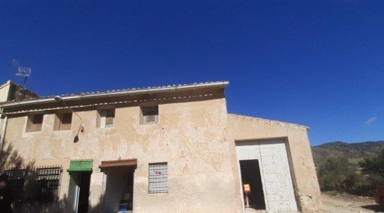 Alicante - Monóvar - 27000m2