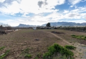 Casa de camp amb terreny en venda a la España, Cieza, ref.: TR381340 foto