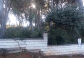 Sòl urbà en venda a la España, Encinarejo de Córdoba, ref.: TR219001 foto
