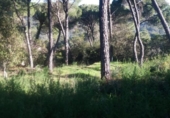 Sòl urbà en venda a la España, Encinarejo de Córdoba, ref.: TR219001 foto