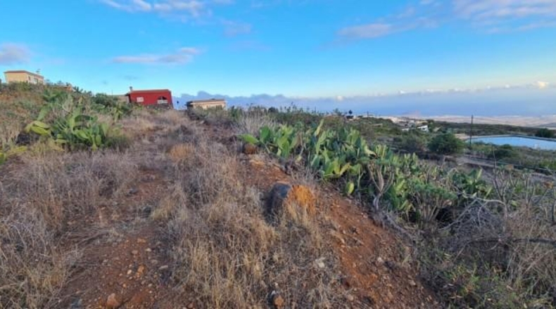 Santa Cruz de Tenerife - San Miguel de Abona - 10236m2