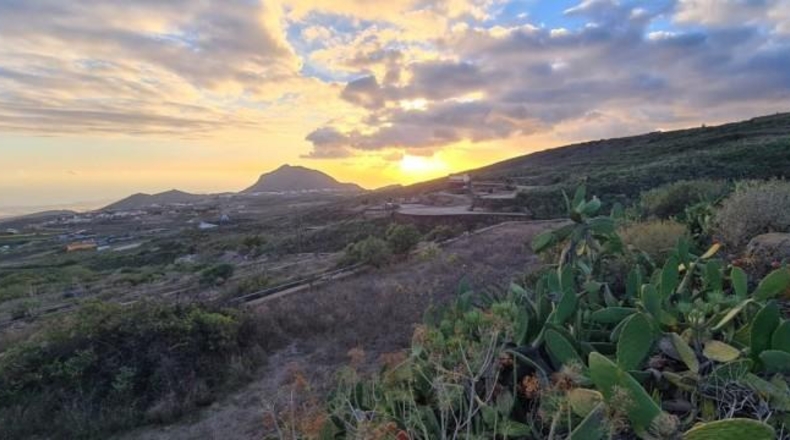 Santa Cruz de Tenerife - San Miguel de Abona - 10236m2