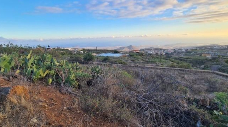 Santa Cruz de Tenerife - San Miguel de Abona - 10236m2