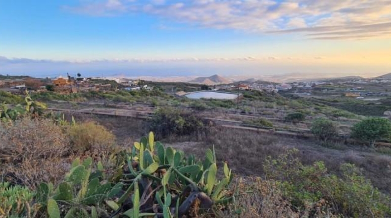 Santa Cruz de Tenerife - San Miguel de Abona - 10236m2