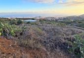 Terreno no urbanizable en venta en la España, San Miguel de Abona, ref: TR309565 foto