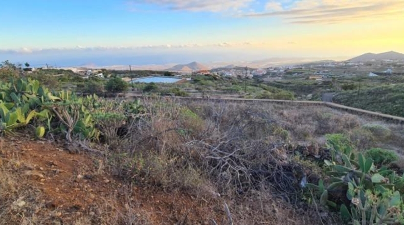 Santa Cruz de Tenerife - San Miguel de Abona - 10236m2