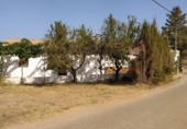 Casa de campo con terreno en venta en la España, Pulpí, ref: TR364742 foto