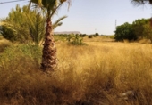 Casa de campo con terreno en venta en la España, Pulpí, ref: TR364742 foto