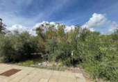 Sòl urbà en venda a la España, Alcanar, ref.: TR340841 foto