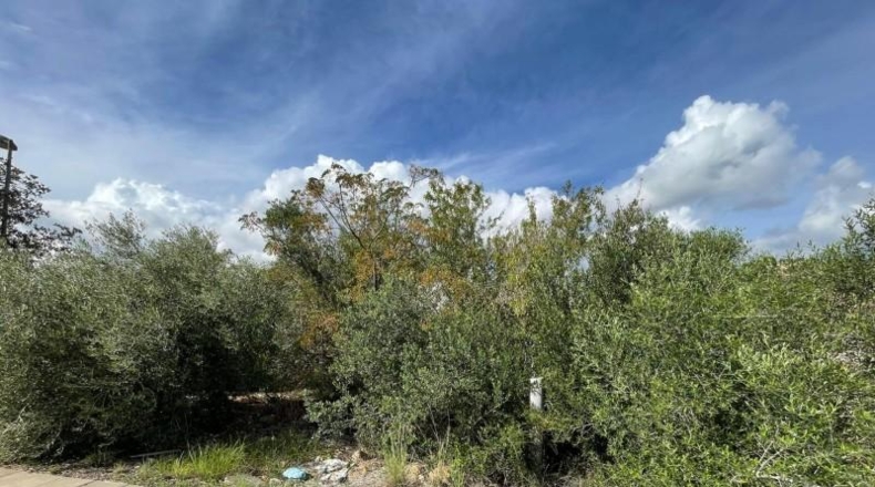 Tarragona - Alcanar - 936m2