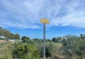 Sòl urbà en venda a la España, Alcanar, ref.: TR340841 foto