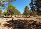 Xalet independent amb terreny en venda a la España, Tomelloso, ref.: TR318265 foto