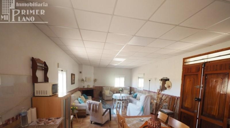 Ciudad Real - Tomelloso - 74904m2