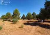 Xalet independent amb terreny en venda a la España, Tomelloso, ref.: TR318265 foto