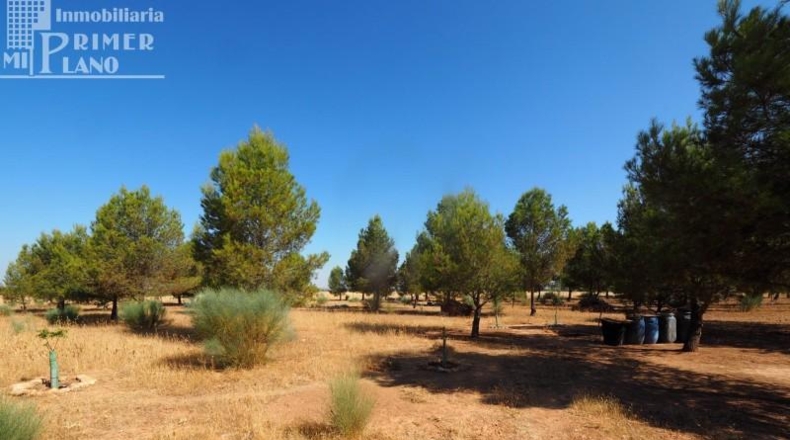 Ciudad Real - Tomelloso - 74904m2