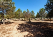 Xalet independent amb terreny en venda a la España, Tomelloso, ref.: TR318265 foto