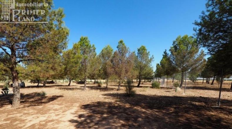 Ciudad Real - Tomelloso - 74904m2