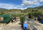 Casa de camp amb terreny en venda a la España, Oliva de Plasencia, ref.: TR280317 foto