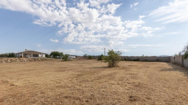 Granada - Moraleda de Zafayona - 4550m2