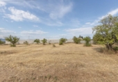 Non-developable land for sale on España, Moraleda de Zafayona, ref: TR279749 photo