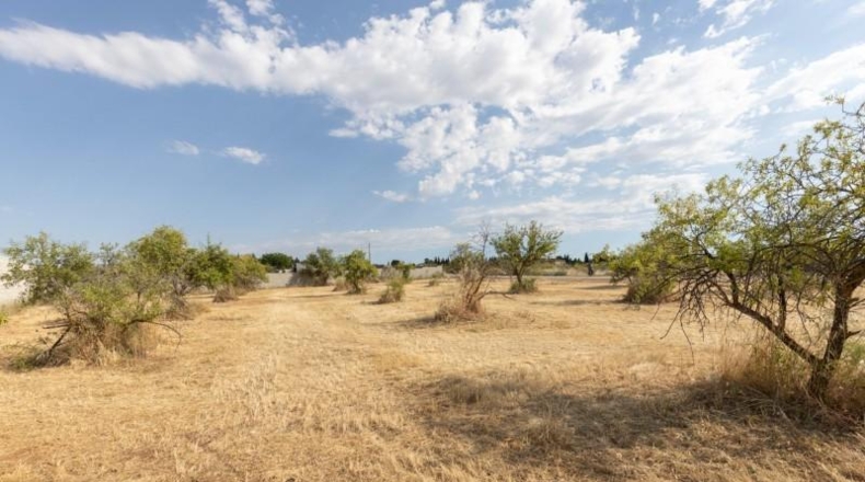 Granada - Moraleda de Zafayona - 4550m2