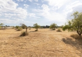 Non-developable land for sale on España, Moraleda de Zafayona, ref: TR279749 photo