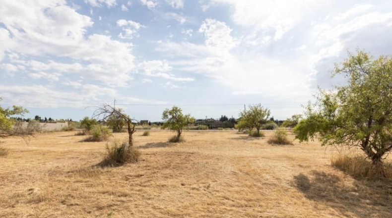 Granada - Moraleda de Zafayona - 4550m2