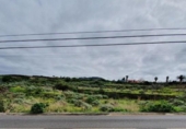 Земля на продажу у города Tacoronte Фото