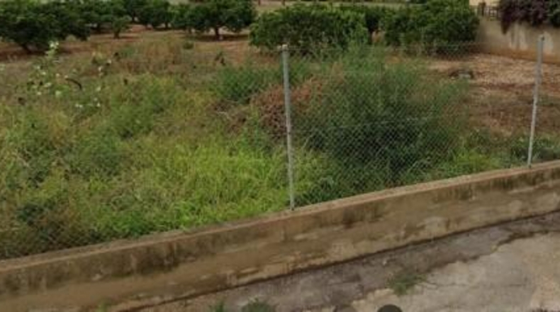 Castellón - Vinaroz - 545m2