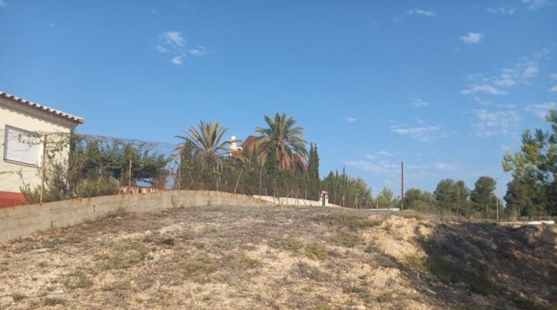 Castellón - Alcora - 1300m2