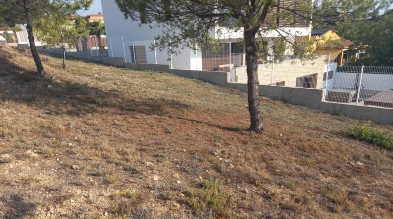 Castellón - Alcora - 1300m2