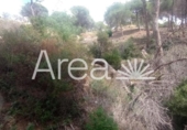 Sòl urbà en venda a la España, Cabrils, ref.: TR172931 foto