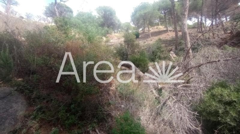 Barcelona - Cabrils - 1004m2
