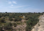Casa amb terreny en venda a la España, Elx, ref.: TR294918 foto