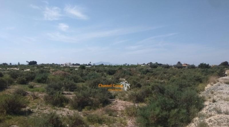 Аликанте - Elche - 16000m2