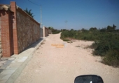 Casa amb terreny en venda a la España, Elx, ref.: TR294918 foto